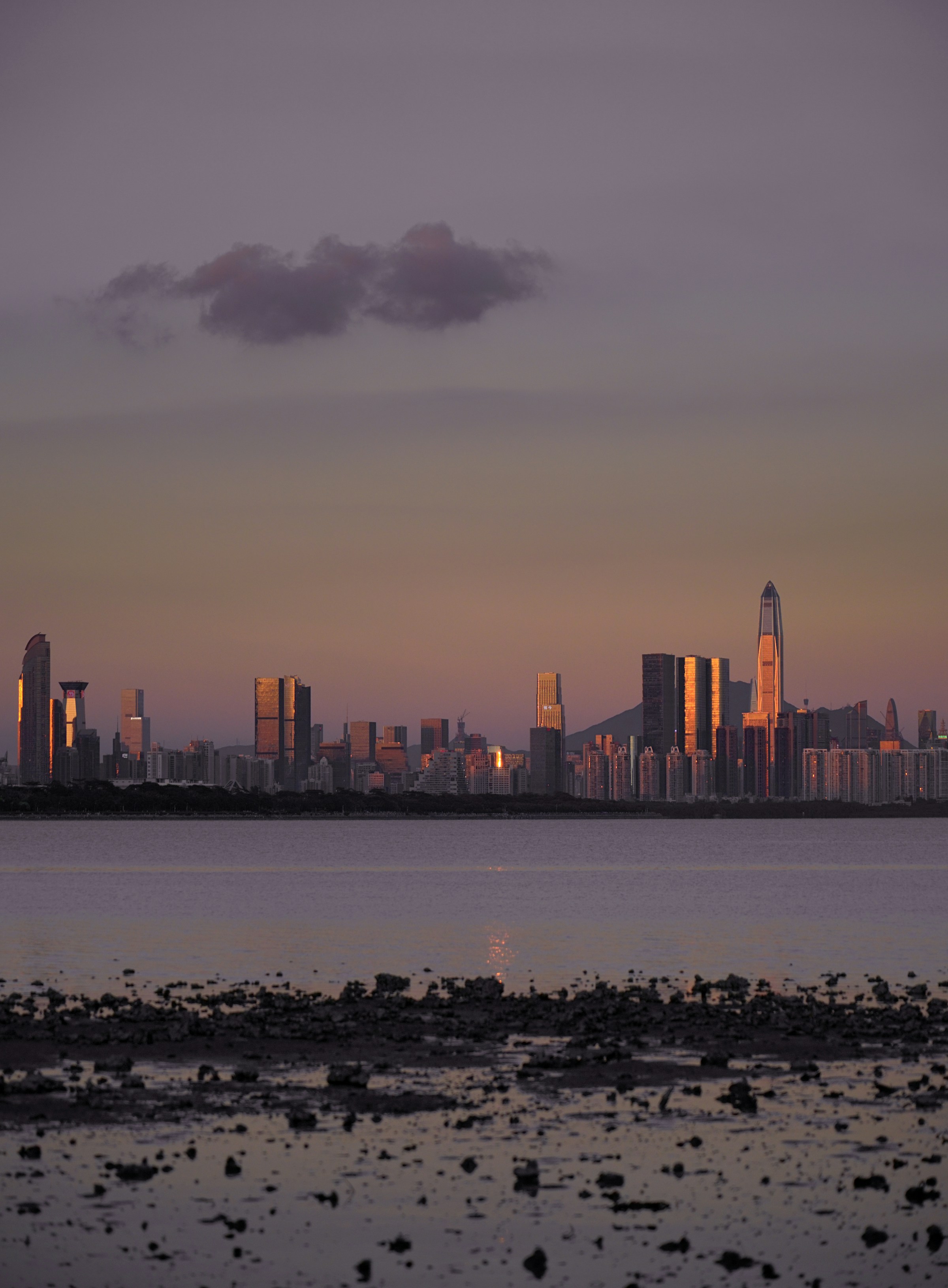 Shenzhen waterfront and city skyline